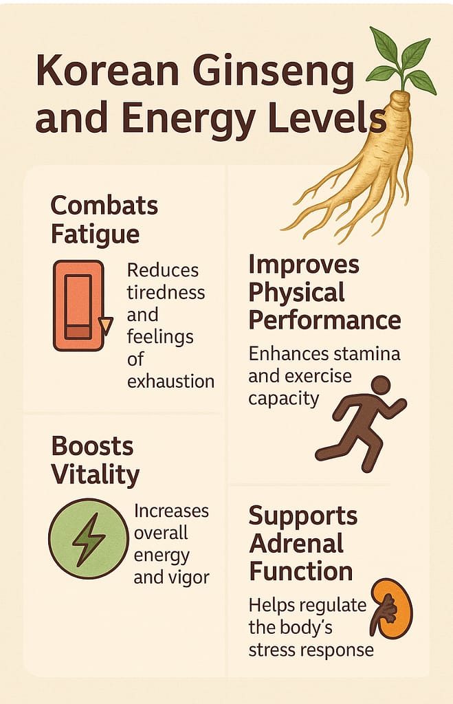 Infographic showing Korean ginseng’s benefits for energy, fatigue reduction, stamina, vitality, and adrenal support