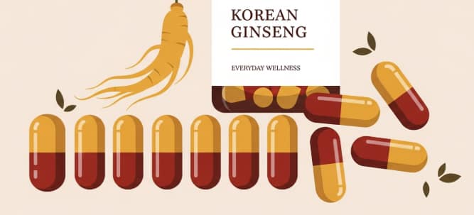Korean ginseng capsules supporting daily wellness and balance