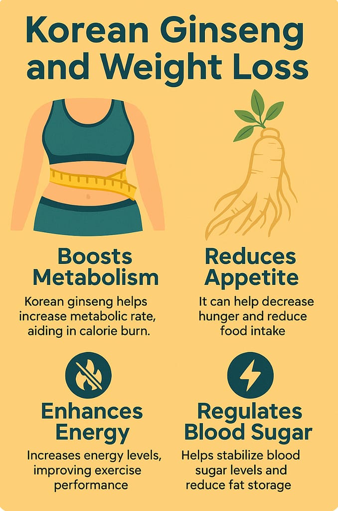Infographic showing Korean ginseng’s benefits for weight loss and metabolism