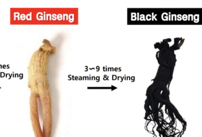 Whole black ginseng root with deep color and fine rootlets
