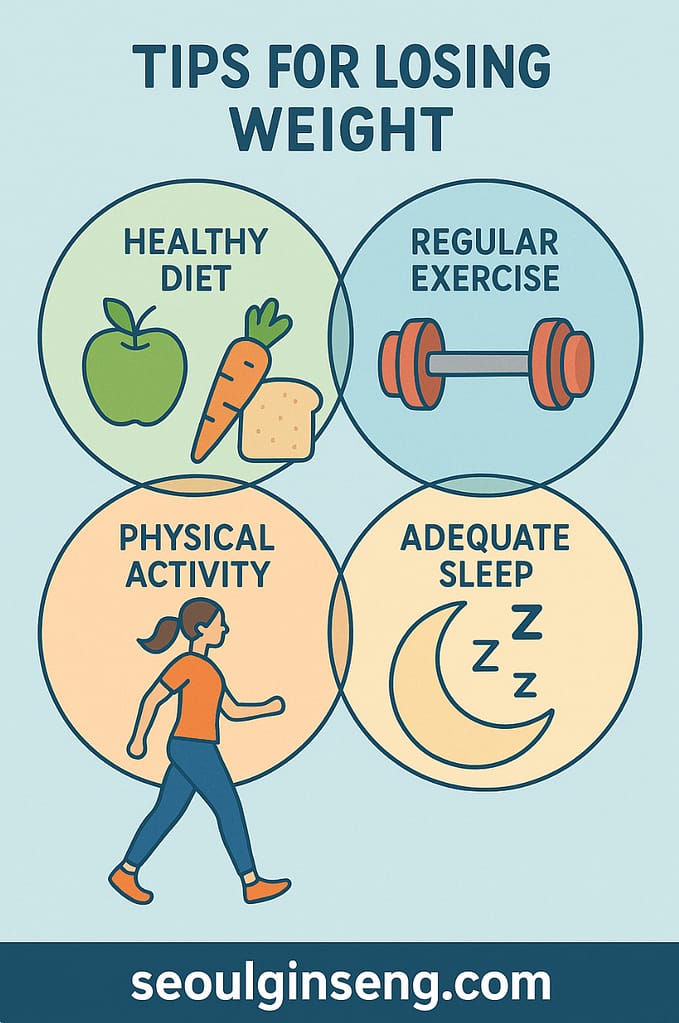 Infographic showing four key elements for sustainable weight loss