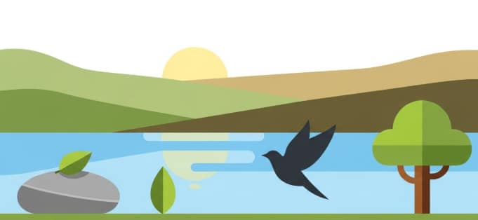 calm morning scene with sunlight, tea, and open journal representing clarity and focus