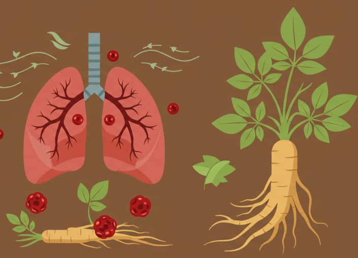 Korean Red Ginseng roots and herbal tea representing natural lung support and bronchitis relief