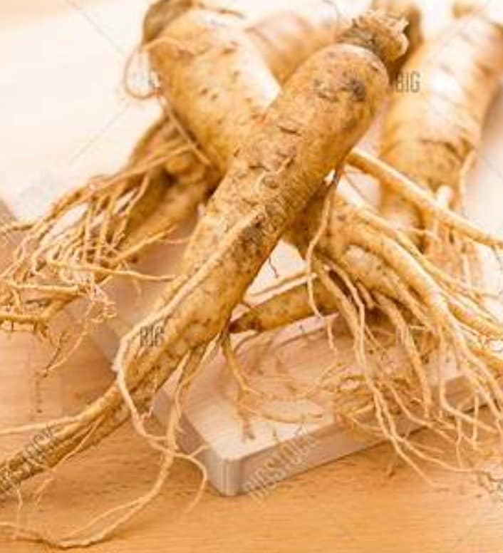 Fresh Korean ginseng roots on wooden table close-up premium quality insam