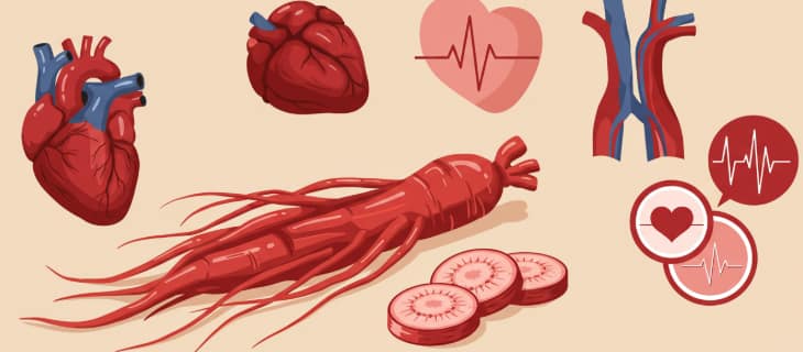 Korean Red Ginseng roots and heart symbol representing natural cardiovascular support
