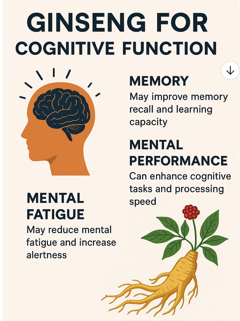 Korean red ginseng benefits for memory and cognitive function