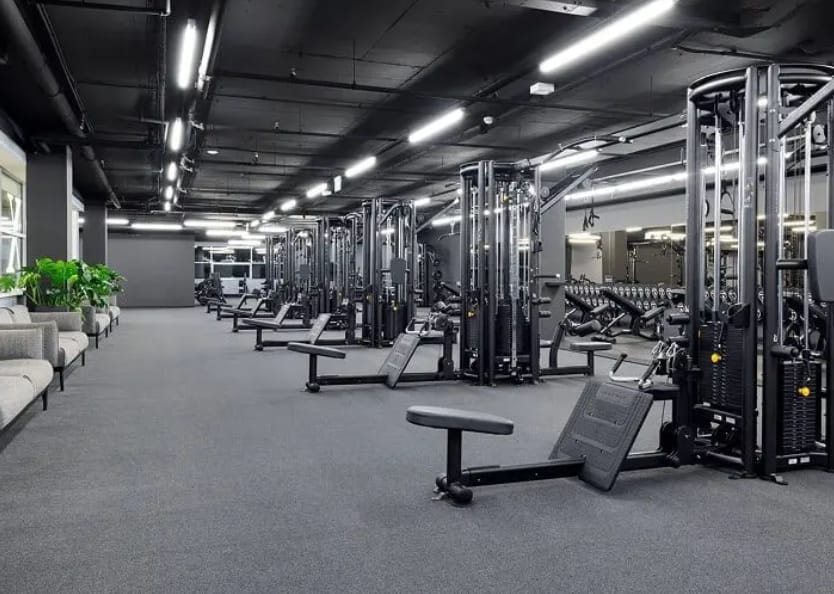 Focused woman performing plank row with dumbbells at home