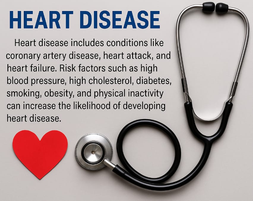 Korean ginseng root with human lung illustration